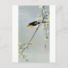 Cartão Postal レ ン ョ ウ に 小 鳥 古邨, ギ Bird em Forsythia, Ohara Koson