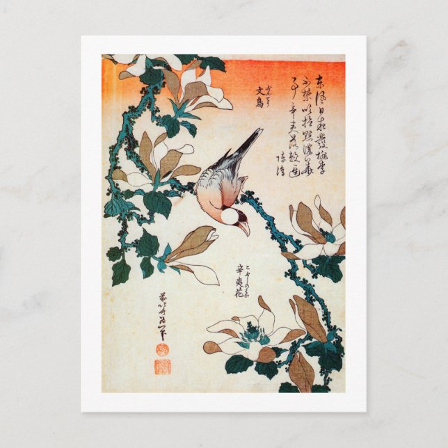 Cartão Postal 文 鳥 と ブ シ, 北 コ Java Sparrow e Kobushi, Hokusai (Frente)