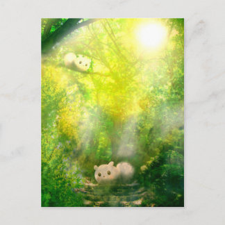 CARTÃO POSTAL 木 漏 れ 日2ご う