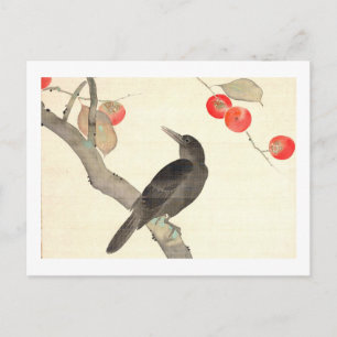 Cartão Postal 柿 に 烏, 抱 Persimmon e Crow, Hōitsu