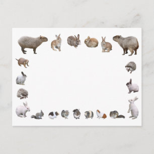 CARTÃO POSTAL 様 々 な 小 物 動