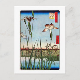 Cartão Postal 江戸の菖蒲, íris do 広重 de Edo, Hiroshige