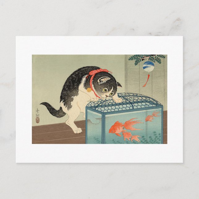 Cartão Postal 猫 と 魚, 古 邨 Cat & Goldfish, Koson, Ukiyo-e (Frente)