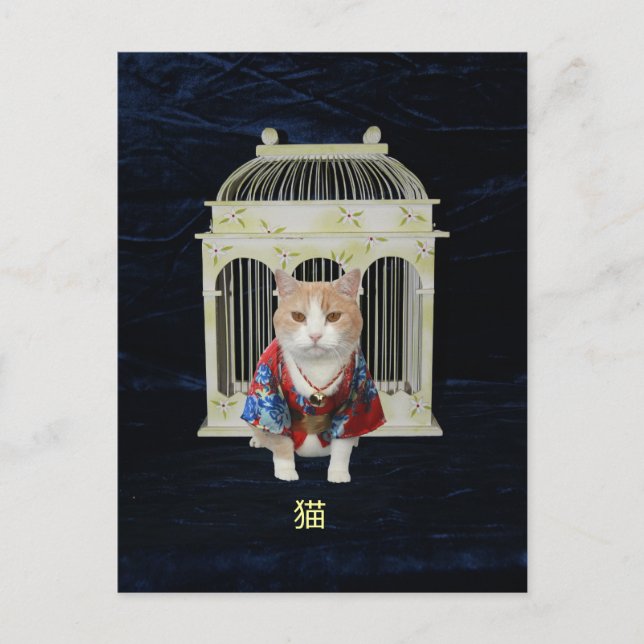 Cartão Postal 猫 Lucky Cat (Frente)