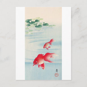 Cartão Postal 睡 蓮 と 魚, 古 邨 Água Lily e Goldfish, Ohara Koson