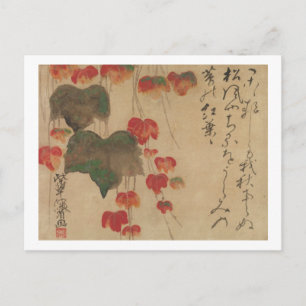 Cartão Postal 秋 蔦, 乾 山 Autumn Ivy, Kenzan, Arte do Japão