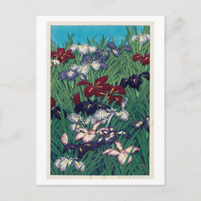 Cartão Postal 菖蒲, íris, Hasui Kawase, Woodcut (Frente)