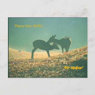 Cartão Postal 鹿 nara