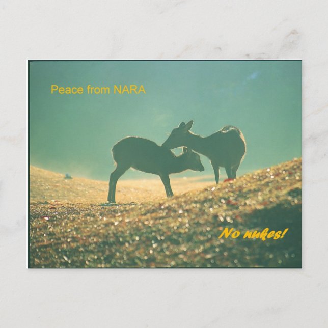 Cartão Postal 鹿 nara (Frente)