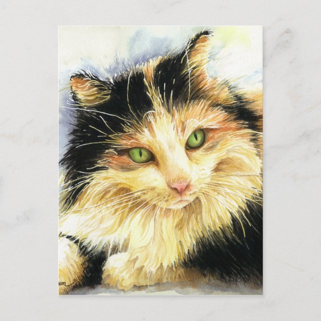 Cartão Postal 0010 Calico Cat (Frente)