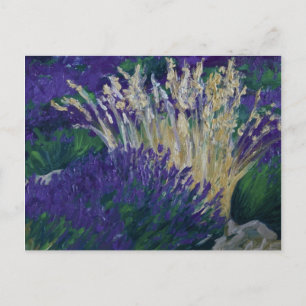 Cartão Postal 0071-le champ de lavande