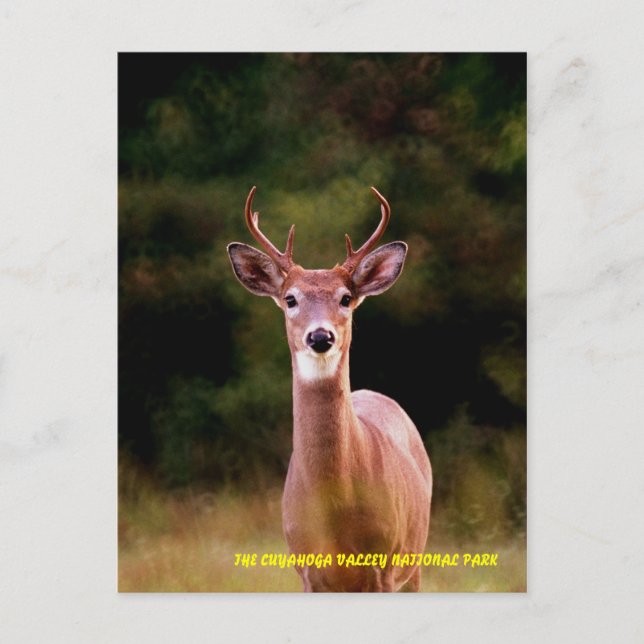 CARTÃO POSTAL 070306-34-APC (Frente)