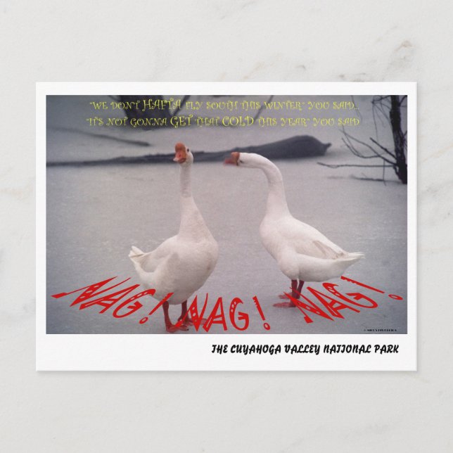 CARTÃO POSTAL 072506-10-APC NAG, NAG, NAG (Frente)