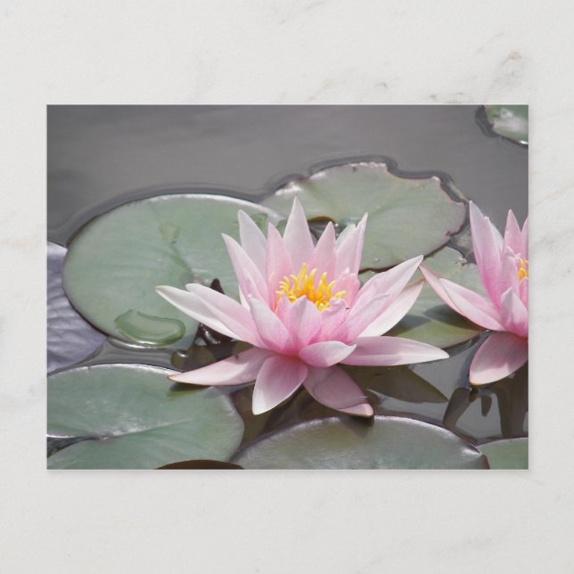 CARTÃO POSTAL 100.0085 (Frente)