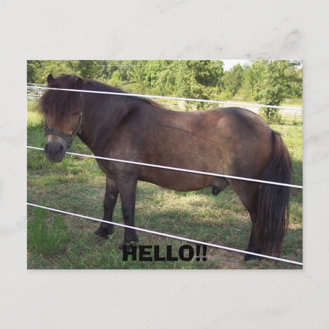 CARTÃO POSTAL 100_0376, OLÁ! (Frente)