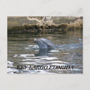 CARTÃO POSTAL 100_8578, CHAVE LARGO FLORIDA