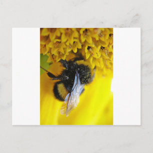 CARTÃO POSTAL 101.JPG