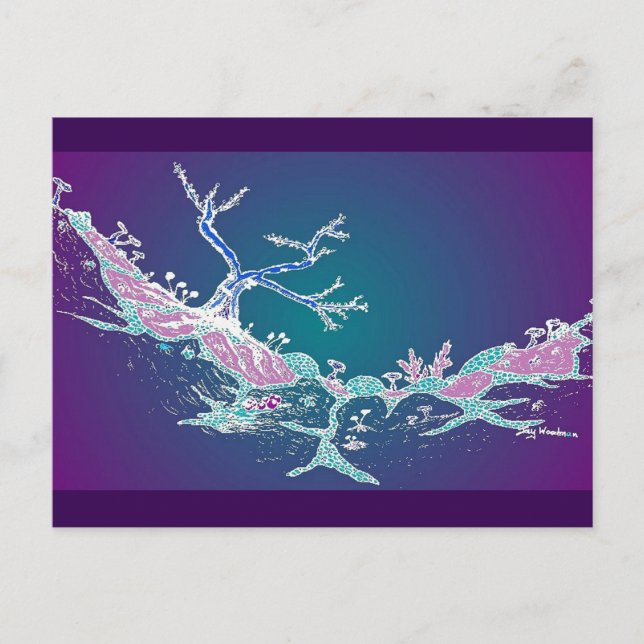 Cartão postal 10: Magic Valley Midnight Luminous (Frente)