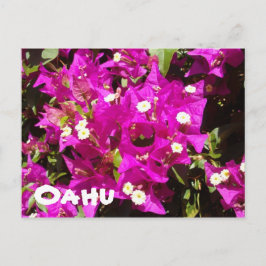 Cartão Postal 110, Oahu