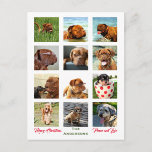 Cartão Postal 12 Foto ✨ Colagem da Família de Imagens Natal