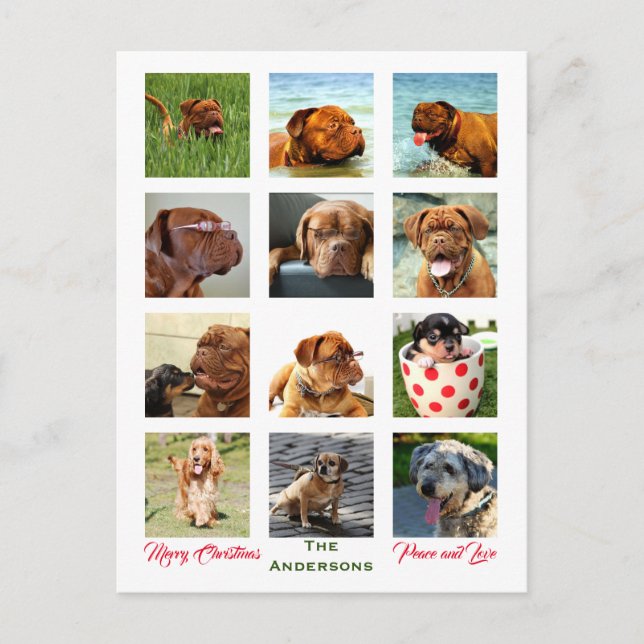 Cartão Postal 12 Fotos Família Álbum ✨ Colagem Natal (Frente)