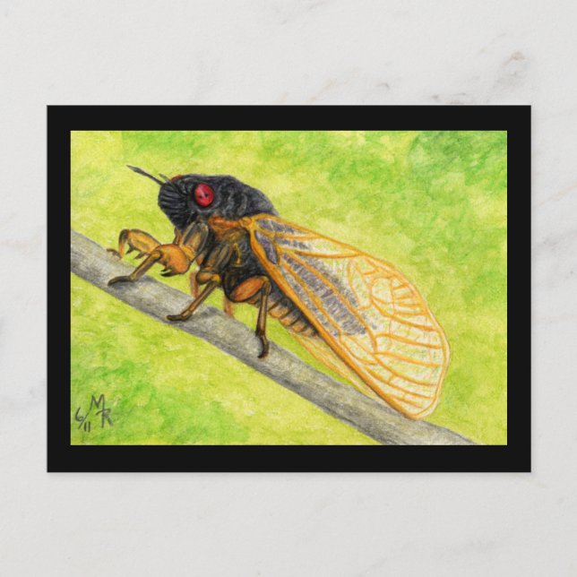 Cartão Postal 13 anos de pintura de Cicada (Frente)