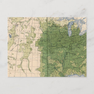 Cartão Postal 154 milhas de milho/metro quadrado