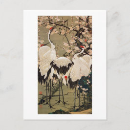 Cartão Postal 15. 梅 花 群 図, 若 冲 Blossoms e gruas de ameixa, Jakuc