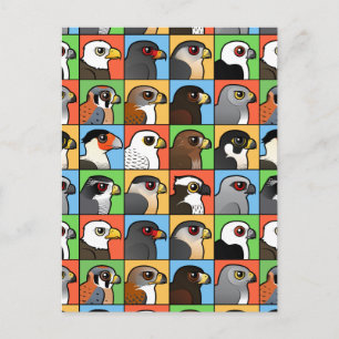 Cartão Postal 16 Perfis de Raptor norte-americanos (em série)