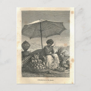 Cartão Postal 1877 Impressão do Rio de Janeiro, Terra e seus pov