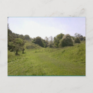 Cartão postal 18 Grassy Valley Track