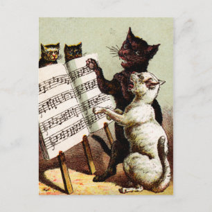 Cartão Postal 19º C. Cats Cantantes