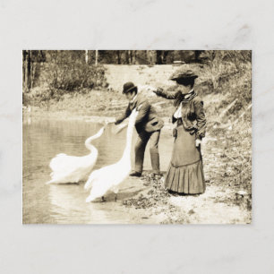 Cartão Postal 19º C. Cisnes em Paris