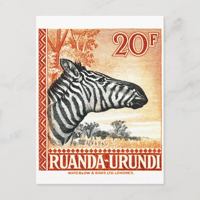 Cartão Postal 1942 Carimbo do Ruanda Urundi Zebra (Frente)