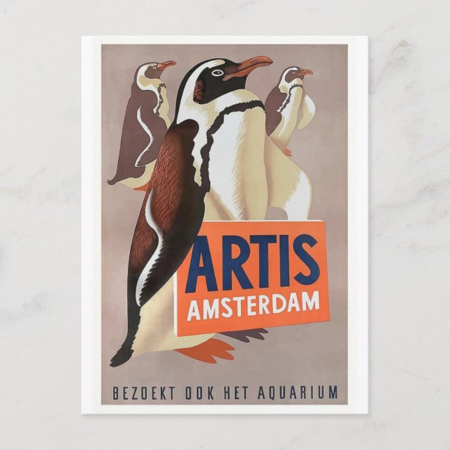 Cartão Postal 1947 Artis Zoo Amsterdam Penguins Poster (Frente)