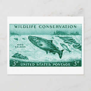 Cartão Postal 1956 Conservação da Natureza, Salmão