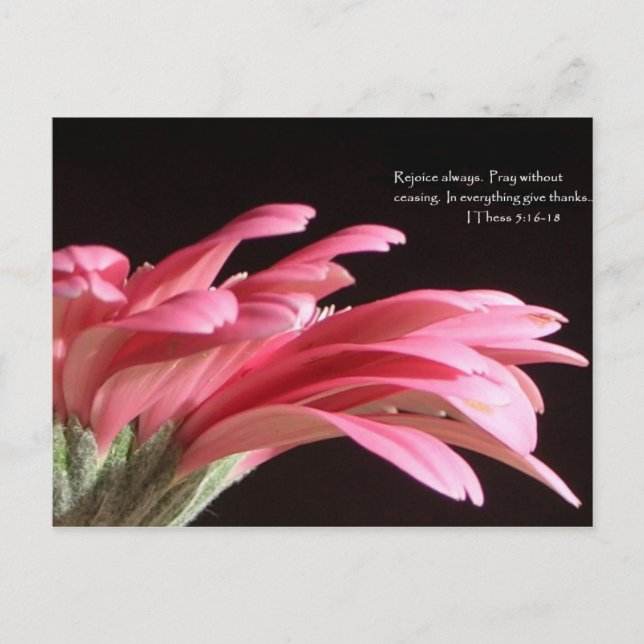 CARTÃO POSTAL 1 5:16-18 (Frente)