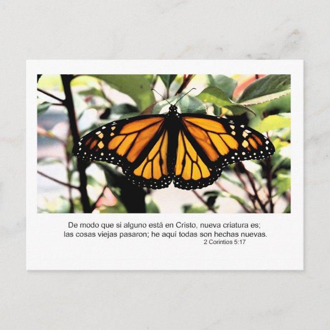 Cartão Postal 1 Corinthians 5:17 Espanhol Se algum homem estiver (Frente)