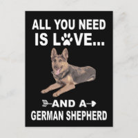1 Tudo Que Você Precisa É De Amor E German shepher