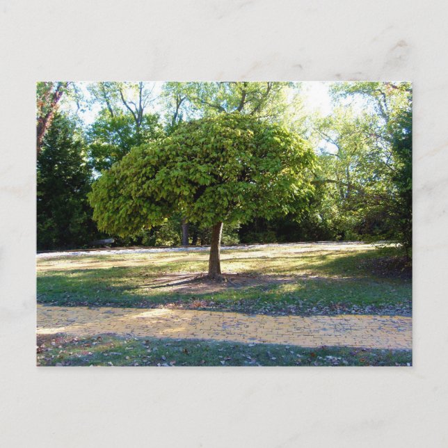 cartão postal 2 (Frente)