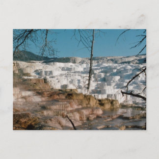 Cartão Postal 2003 - Yellowstone 01