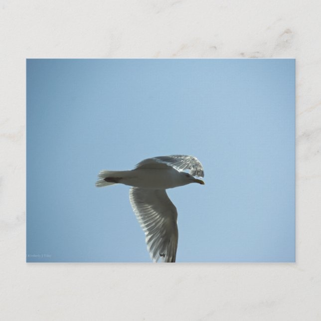 CARTÃO POSTAL 2367 (Frente)