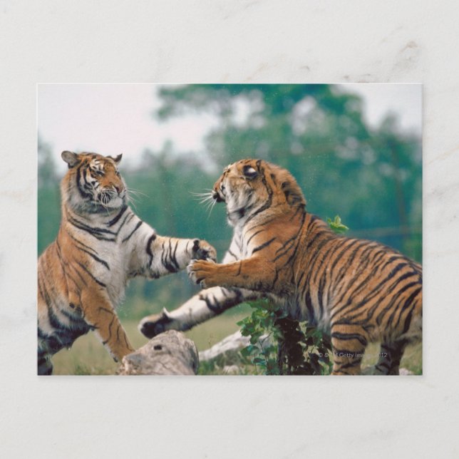 CARTÃO POSTAL 23899157 (Frente)