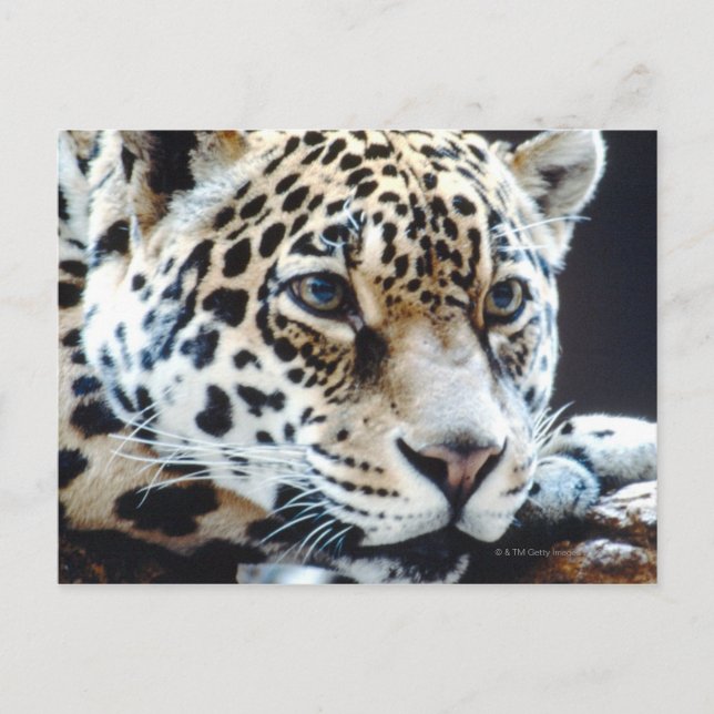 CARTÃO POSTAL 24114363 (Frente)