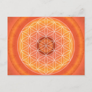Cartão Postal 2 Chakra Flower of Life orange
