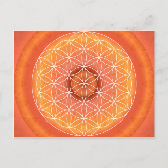 Cartão Postal 2 Chakra Flower of Life orange (Frente)