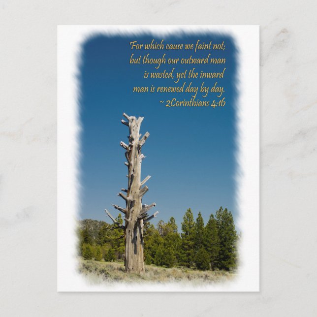 Cartão Postal 2 Corintianos 4:15 (Frente)