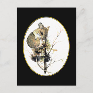 Cartão postal 2 do mouse