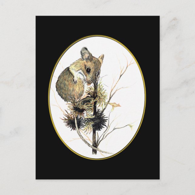 Cartão postal 2 do mouse (Frente)