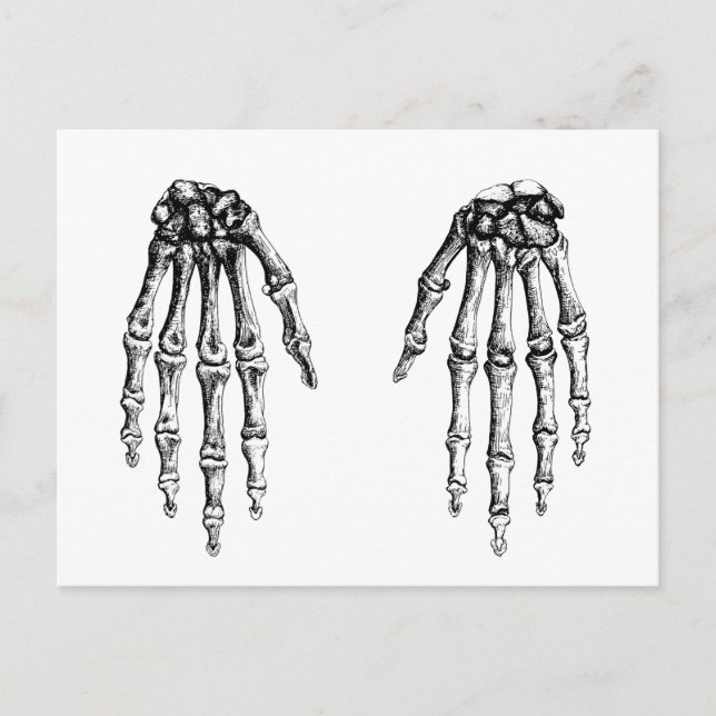 Cartão Postal 2 Hands Down White (Frente)